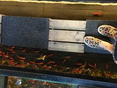 -颐和•海鲜砂锅粥•啫啫煲(奥林匹克广场店)