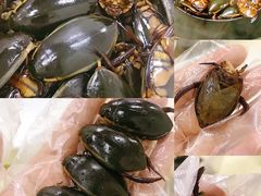 -莫华(锦绣趣园北街店)