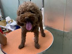 -乐宠宠物店(世纪金源店)