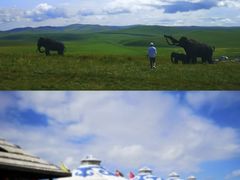 -186彩带河