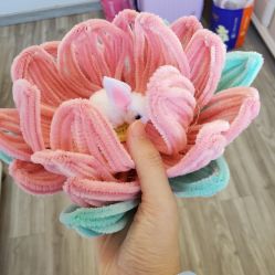 -国际月月生母婴月子中心(旗舰店)