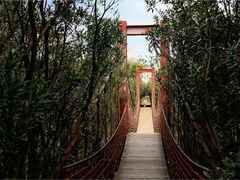 -上海吴淞炮台湾国家湿地公园