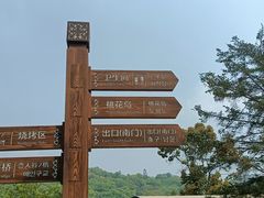 -南宁良凤江国家森林公园