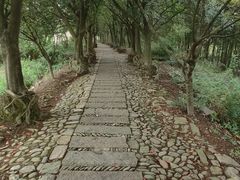 -皤滩古镇