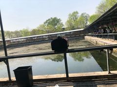 -尚庄度假村·庭台树下·户外烧烤·团建CS·轰趴营地(上庄水库店)