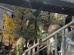 -湖南省地质博物馆