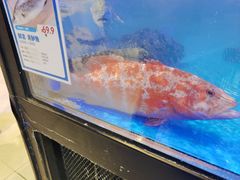 -盒马鲜生(大成店)