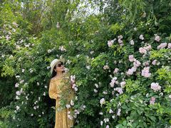 -白鹭湾湿地公园