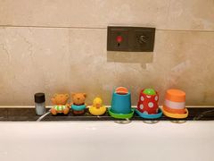 -苏州金鸡湖大酒店