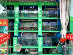 -全乐鱼馆·淳牌有机鱼直营店