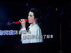 -纯K(打浦桥店)