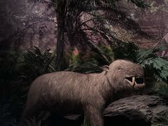 -湖南省地质博物馆