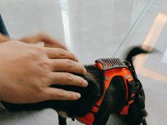 -瑞派宠物医院(搏威敦和院)