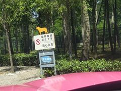 -秦皇岛野生动物园