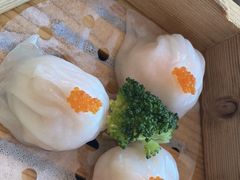-同禧荟·港味海鲜火锅·粤菜(三亚湾店)