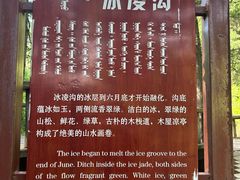 -苏木山森林公园