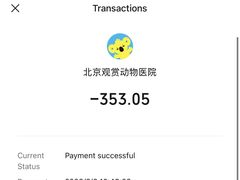 -北京观赏动物医院·24小时大型综合·猫专科·异宠专科