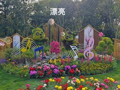 -上海共青森林公园