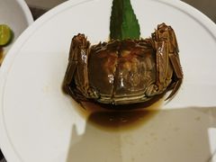 -苏小柳点心·手作小笼包(浦东嘉里城分院)