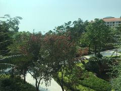 -惠州金海湾嘉华度假酒店