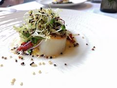 香煎北海道扇贝-蝶舍·MAISON PAPILLON