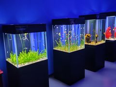 -欢乐海岸海洋奇梦馆