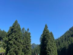 -瓦屋山景区