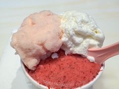 -红楼HONGLOU Gelato(淮海中路店)