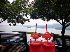 -天目湖山水园