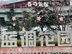 -南浦大桥长途旅游客运站
