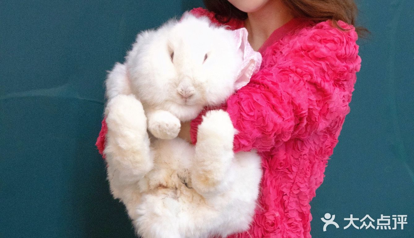 萌宠家族进商城了🔥还有二师兄🐷太可爱了‼️口水都从嘴角流了下来