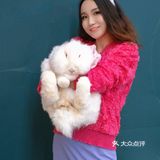 萌宠家族进商城了🔥还有二师兄🐷太可爱了‼️口水都从嘴角流了下来