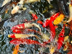 -新世纪大酒楼·30年南海菜