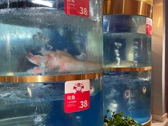 -蜀滋香鲜鱼美蛙火锅(339店)