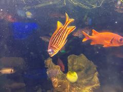 -太平洋海底世界