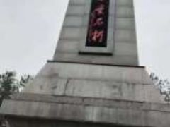 -大湾区中央湿地公园