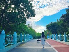 -上海长兴岛郊野公园