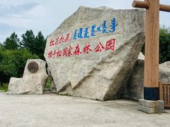 -红花尔基樟子松国家森林公园