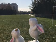 -春晖园度假酒店温泉