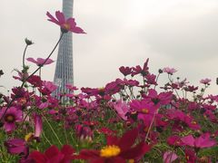 -其美潮州鱼旦粉世家(花城汇南区分店)