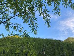 -将军关探险漂流