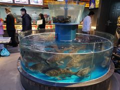 -魏铭鱼头捞饭(晋阳路店)