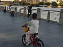 -运河游船(武林门码头)