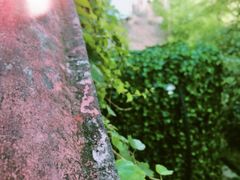 -天台山赤城山景区