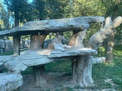 -北京野生动物园