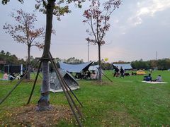 -上海海湾国家森林公园