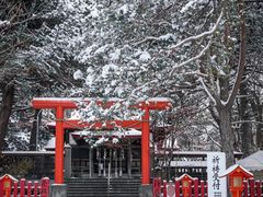 -大通公园