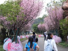 -牛鱼嘴原始生态风景区