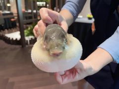 -肆月河豚·淮扬菜·湘菜(华天店)
