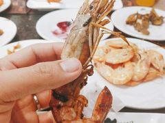 阿根廷红虾-汉巴味德(大悦城店)